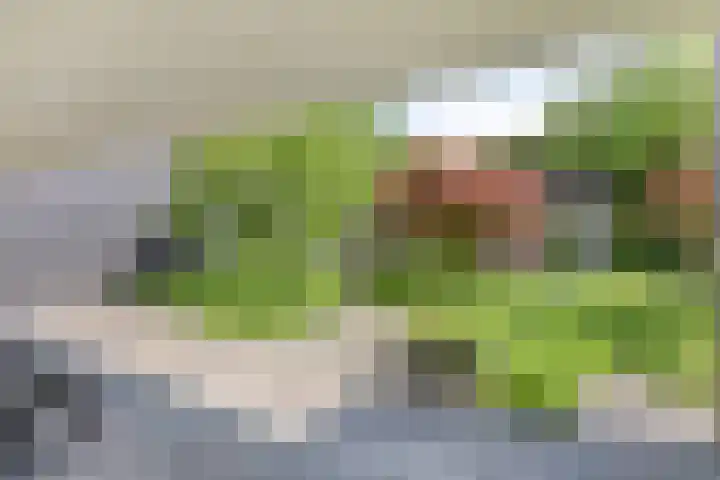 Eikendreef 13 Oss thumbnail 44