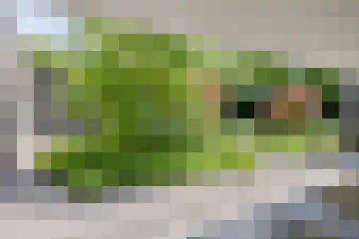 Eikendreef 13 Oss thumbnail 45