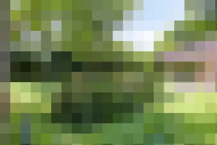 Eikendreef 13 Oss thumbnail 46