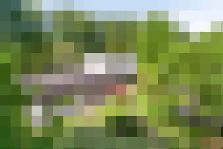 Eikendreef 13 Oss thumbnail 47