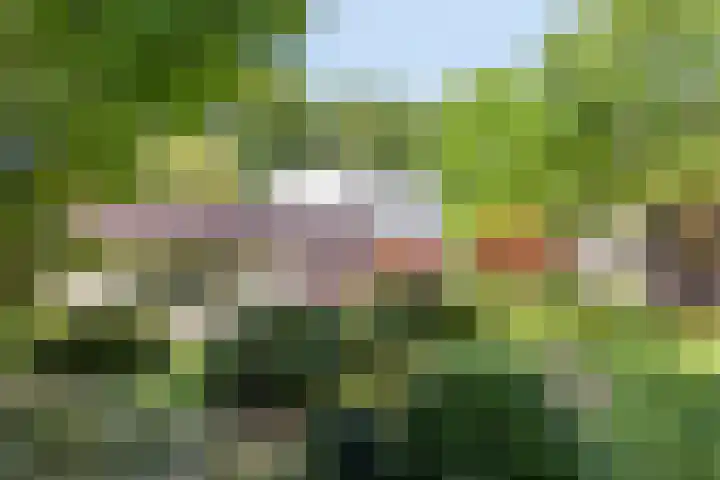 Eikendreef 13 Oss thumbnail 48