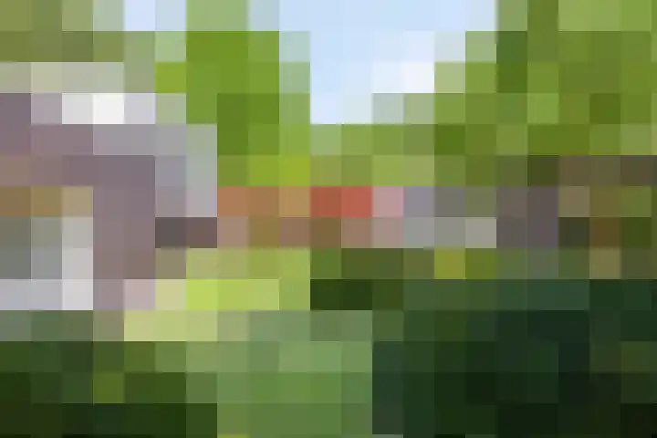 Eikendreef 13 Oss thumbnail 49