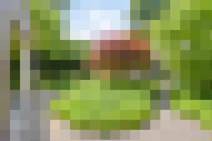 Eikendreef 13 Oss thumbnail 50