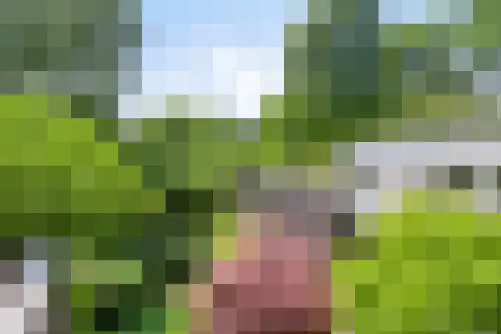 Eikendreef 13 Oss thumbnail 51