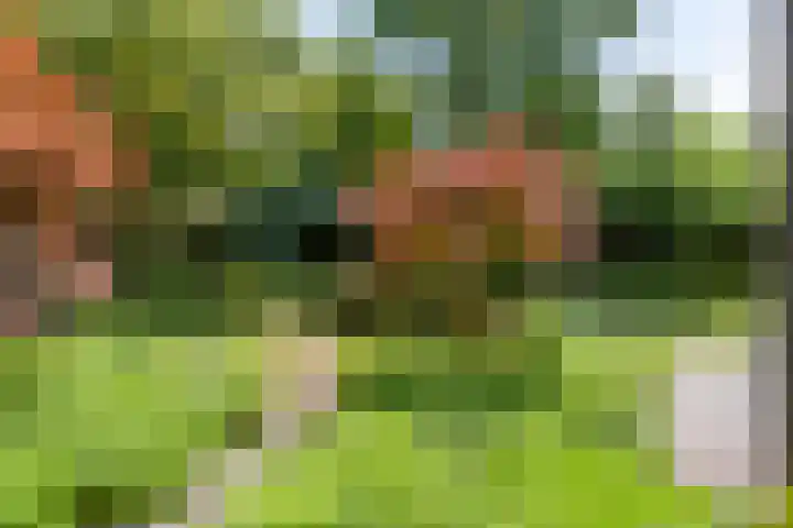 Eikendreef 13 Oss thumbnail 52