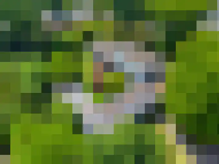 Eikendreef 13 Oss thumbnail 53