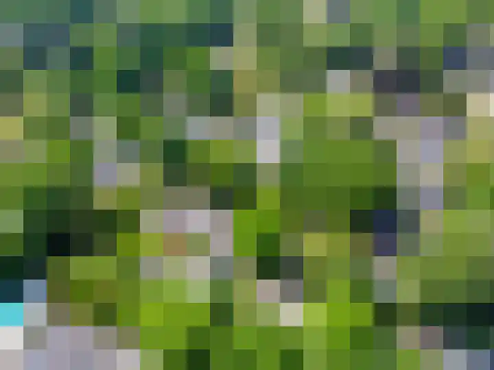 Eikendreef 13 Oss thumbnail 54