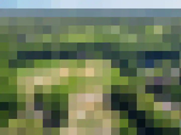 Eikendreef 13 Oss thumbnail 55