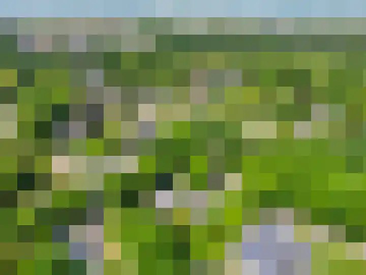 Eikendreef 13 Oss thumbnail 56