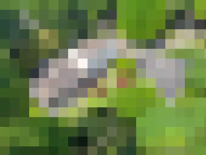 Eikendreef 13 Oss thumbnail 57