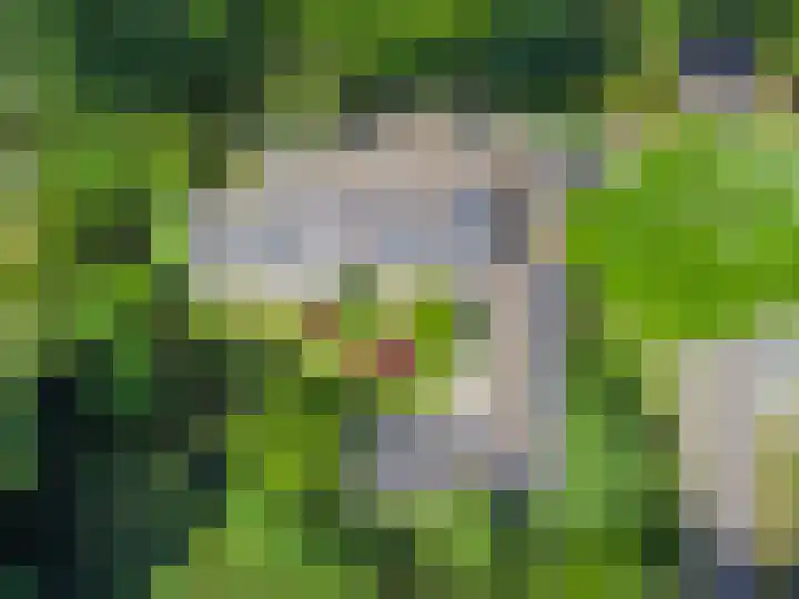 Eikendreef 13 Oss thumbnail 58
