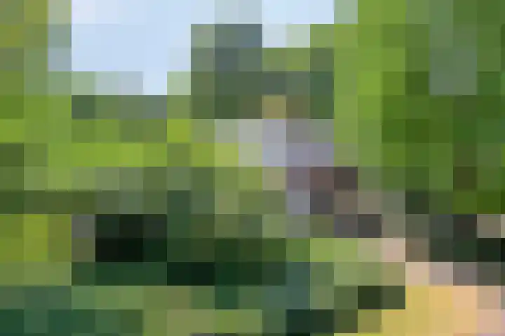 Eikendreef 13 Oss thumbnail 59