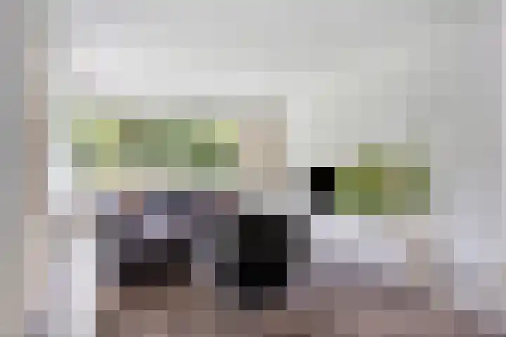 Eikendreef 13 Oss thumbnail 6