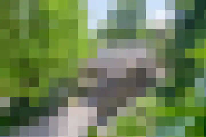 Eikendreef 13 Oss thumbnail 60