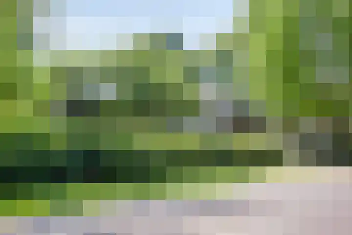 Eikendreef 13 Oss thumbnail 62