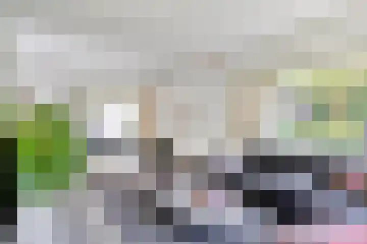 Eikendreef 13 Oss thumbnail 7