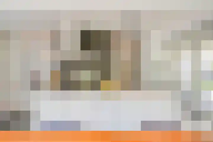 Eikendreef 13 Oss thumbnail 9