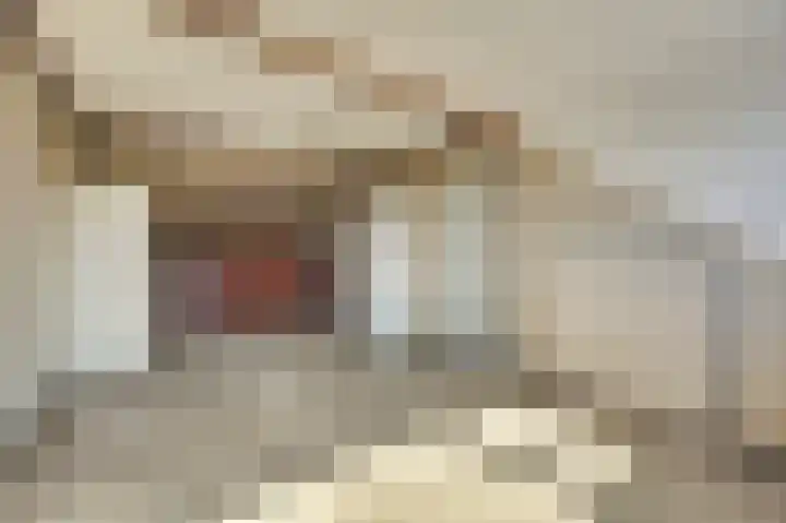 Eikendreef 33 Ridderkerk thumbnail 19