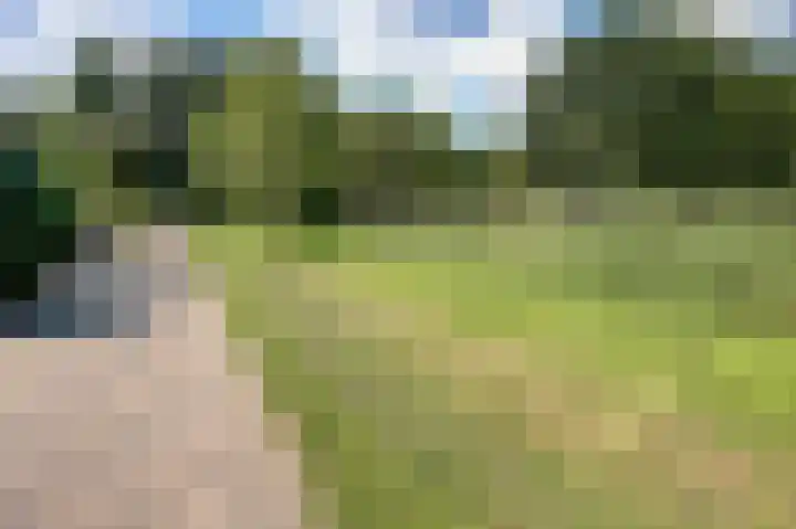 Eikendreef 33 Ridderkerk thumbnail 22