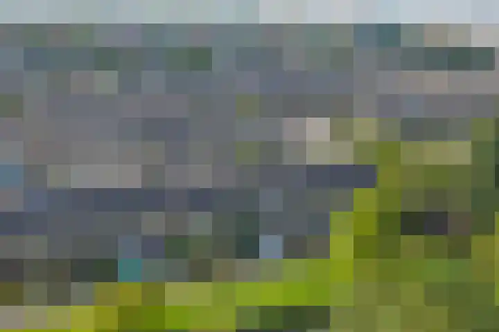 Eikendreef 33 Ridderkerk thumbnail 25