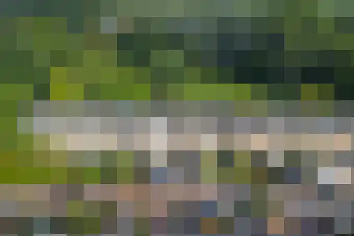 Eikendreef 33 Ridderkerk thumbnail 27