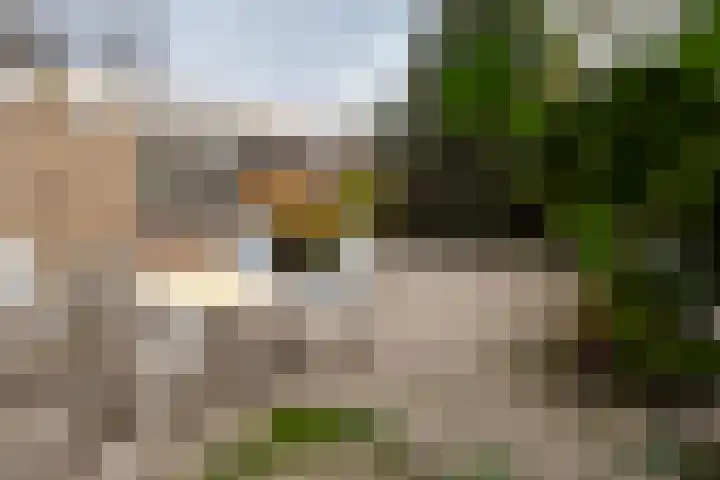 Eikendreef 5 Ridderkerk thumbnail 10