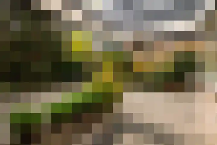 Eikendreef 5 Ridderkerk thumbnail 11
