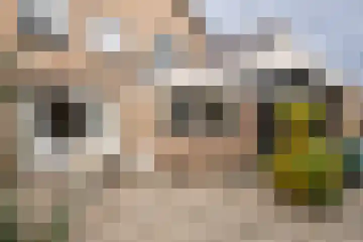 Eikendreef 5 Ridderkerk thumbnail 12