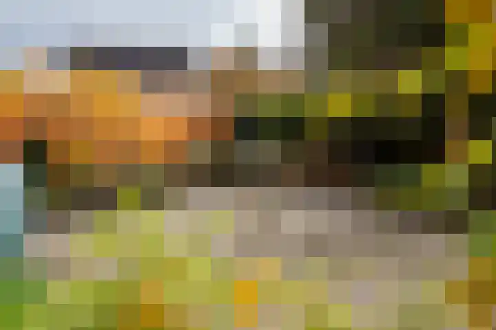 Eikendreef 5 Ridderkerk thumbnail 13