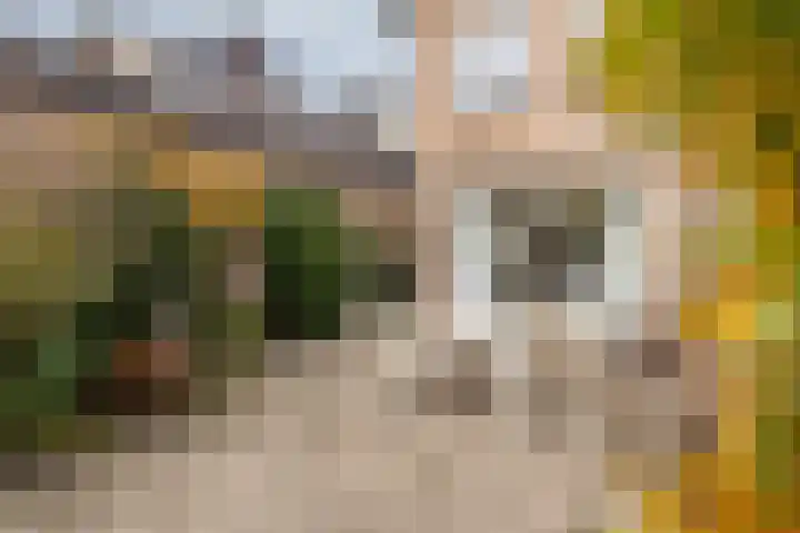 Eikendreef 5 Ridderkerk thumbnail 14
