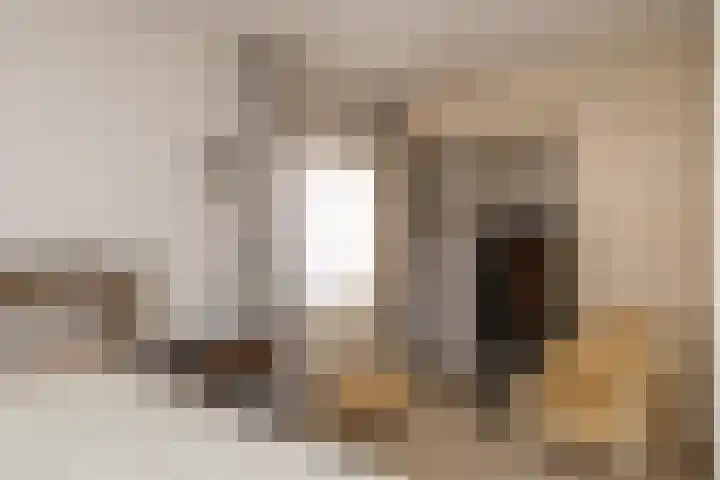 Eikendreef 5 Ridderkerk thumbnail 20