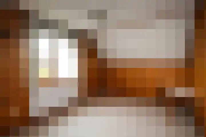 Eikendreef 5 Ridderkerk thumbnail 27