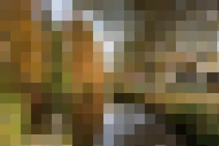 Eikendreef 5 Ridderkerk thumbnail 29
