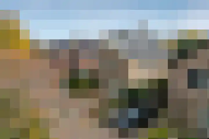 Eikendreef 5 Ridderkerk thumbnail 30