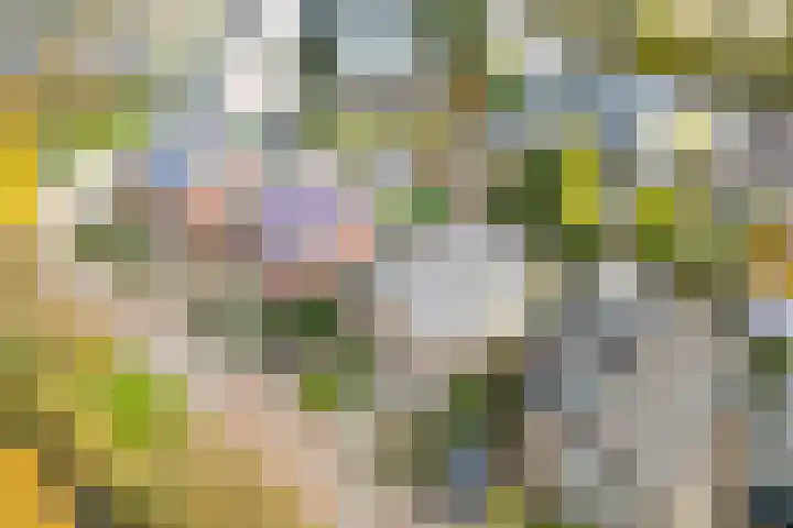 Eikendreef 5 Ridderkerk thumbnail 31