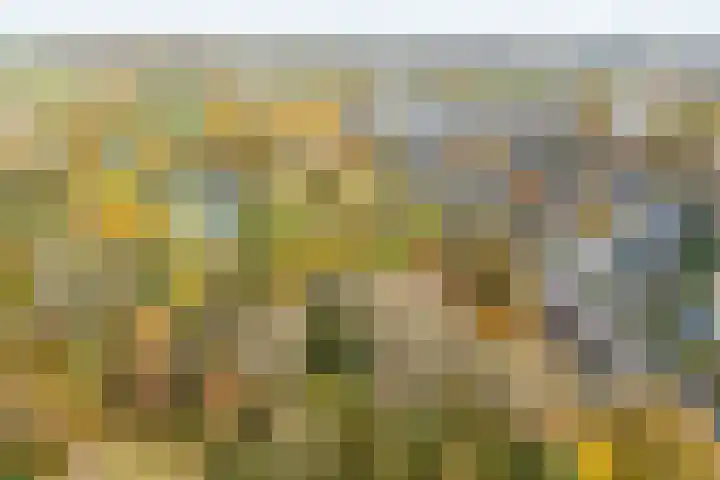 Eikendreef 5 Ridderkerk thumbnail 32