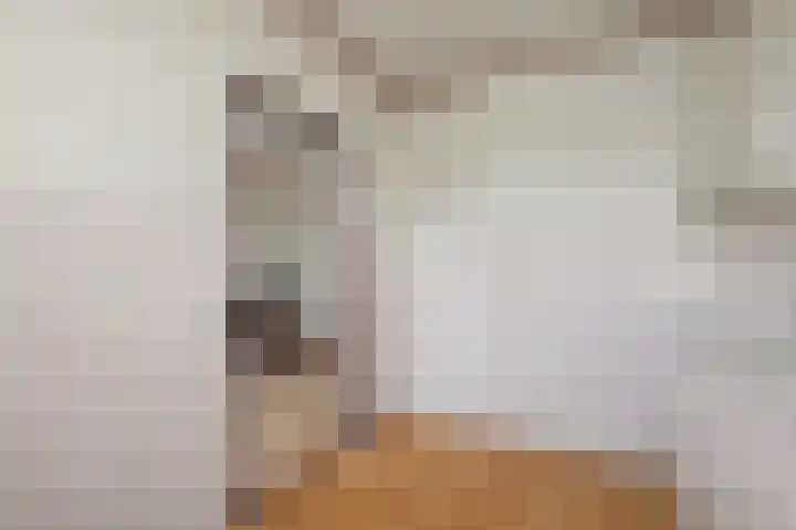 Eikendreef 53 Ridderkerk thumbnail 13