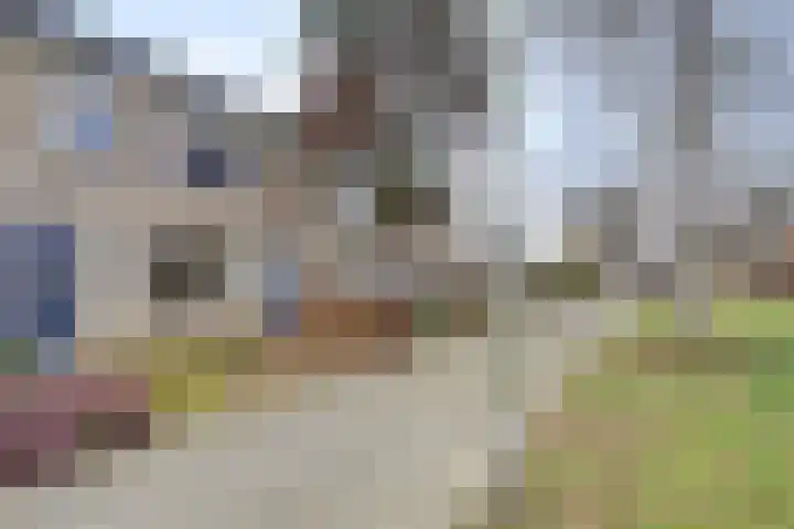 Eikendreef 53 Ridderkerk thumbnail 28