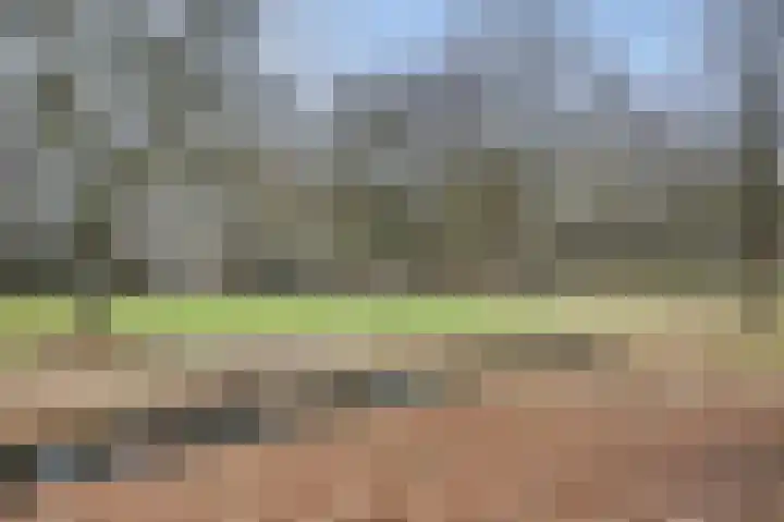 Eikendreef 53 Ridderkerk thumbnail 29