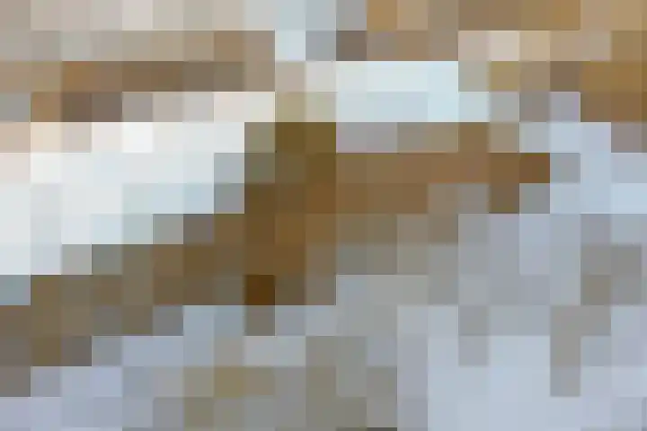 Eikendreef 53 Ridderkerk thumbnail 32