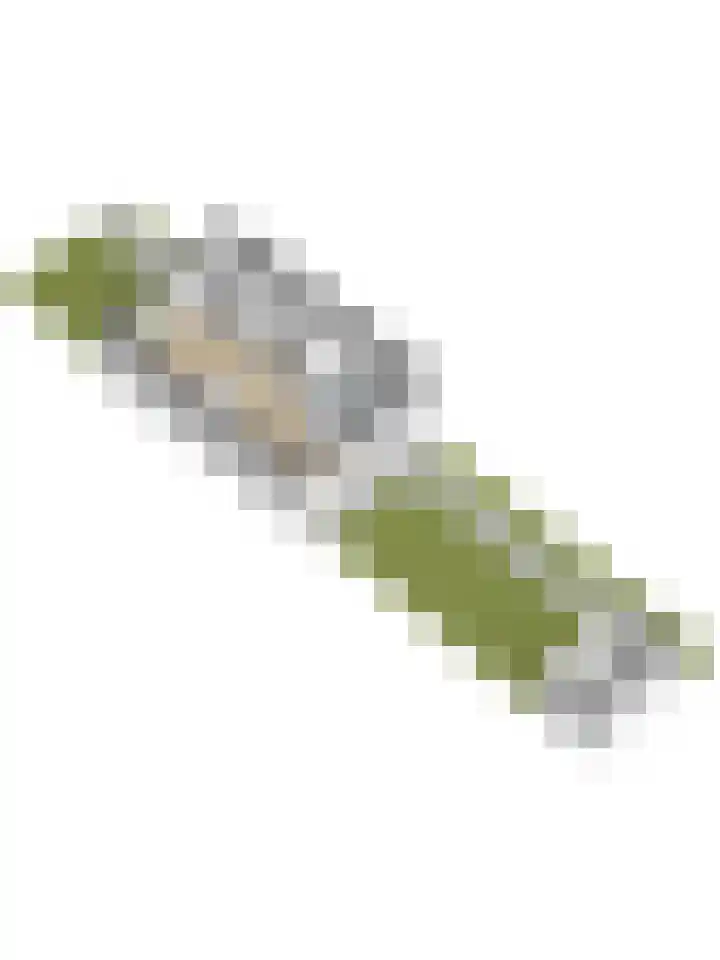 Eikendreef 53 Ridderkerk thumbnail 38