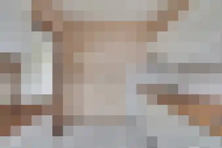 Eikendreef 61 Ridderkerk thumbnail 17