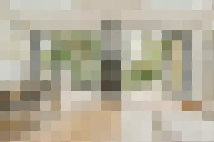 Eikendreef 61 Ridderkerk thumbnail 24