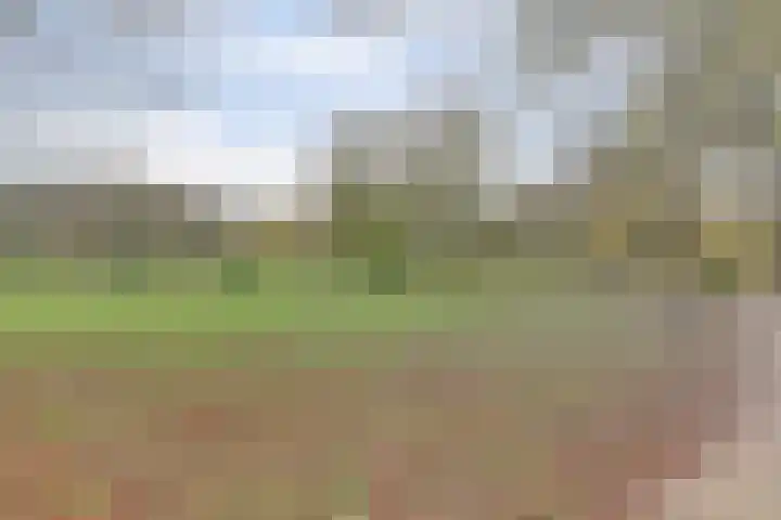 Eikendreef 61 Ridderkerk thumbnail 40