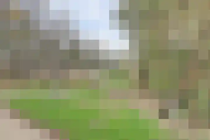 Eikendreef 61 Ridderkerk thumbnail 41