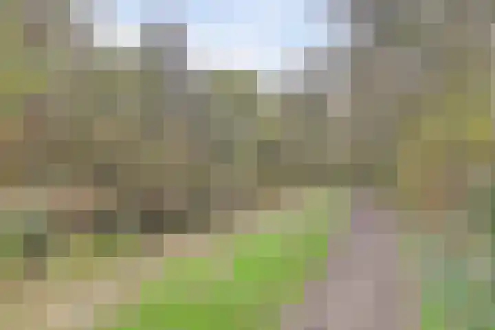 Eikendreef 61 Ridderkerk thumbnail 43