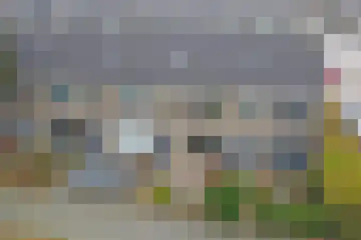 Eikendreef 61 Ridderkerk thumbnail 44
