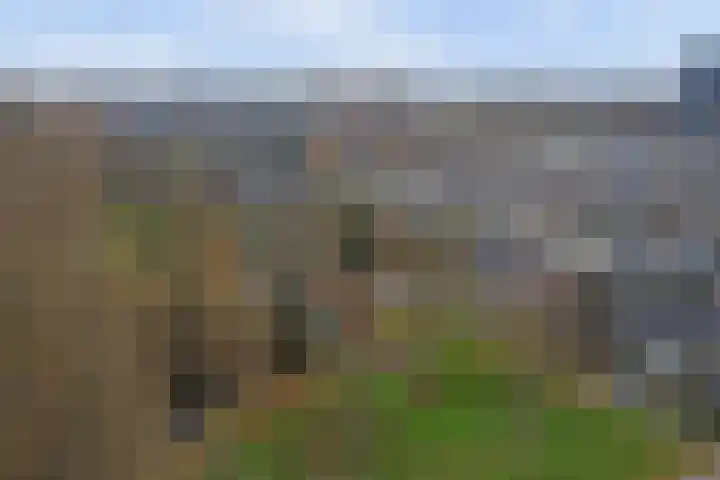 Eikendreef 61 Ridderkerk thumbnail 45