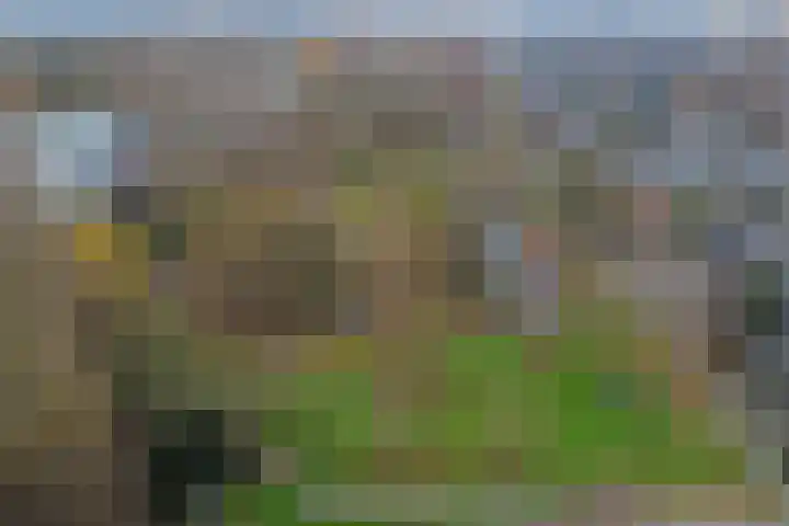 Eikendreef 61 Ridderkerk thumbnail 46