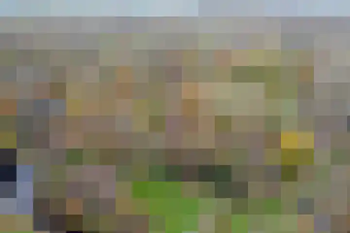 Eikendreef 61 Ridderkerk thumbnail 48